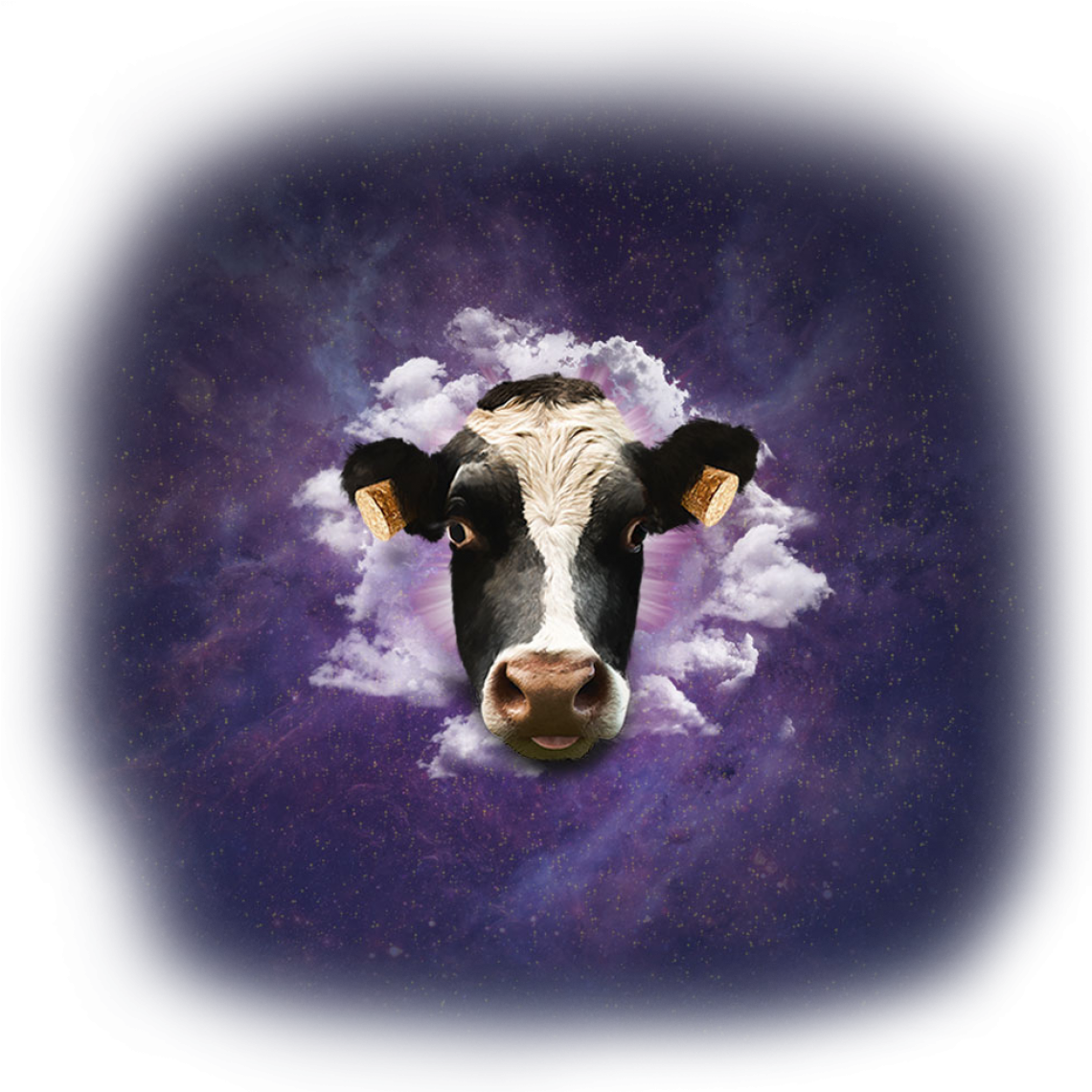 DOCTOR MUSIC FESTIVAL