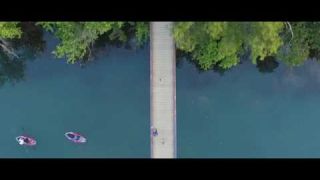 ACL Festival Experience