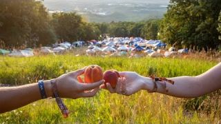 The Peach Music Festival 2019 (Official Aftermovie)